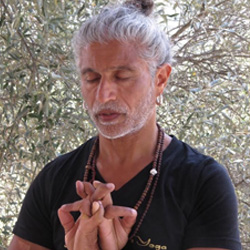 Michael J. Stewart